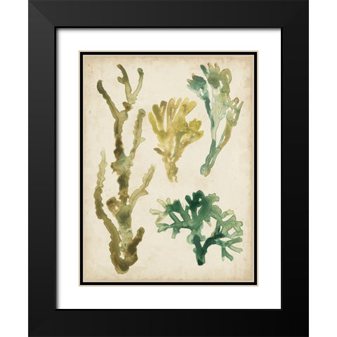 Vintage Sea Fronds V Black Modern Wood Framed Art Print with Double Matting by Vess, June Erica