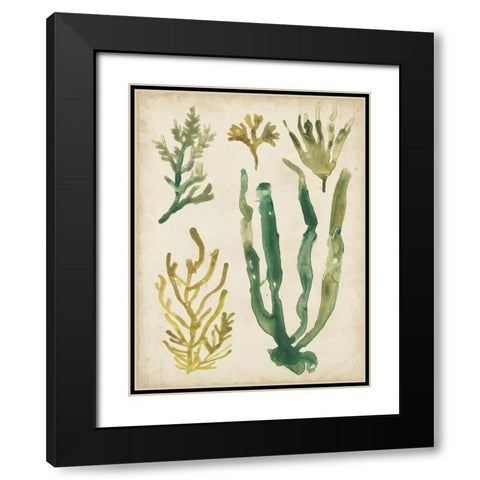 Vintage Sea Fronds VI Black Modern Wood Framed Art Print with Double Matting by Vess, June Erica