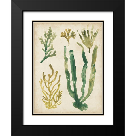 Vintage Sea Fronds VI Black Modern Wood Framed Art Print with Double Matting by Vess, June Erica