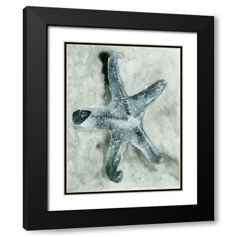 Aquatic I Black Modern Wood Framed Art Print with Double Matting by Stellar Design Studio