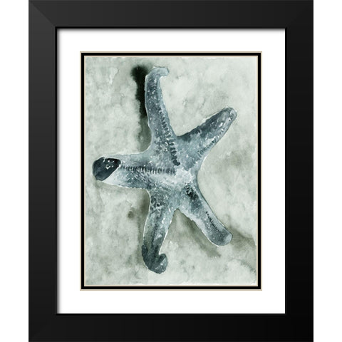 Aquatic I Black Modern Wood Framed Art Print with Double Matting by Stellar Design Studio