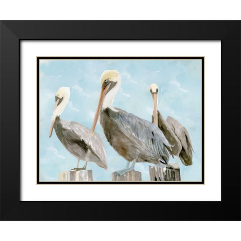 Soft Brown Pelican III Black Modern Wood Framed Art Print with Double Matting by Stellar Design Studio