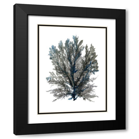 Ocean Bloom III Black Modern Wood Framed Art Print with Double Matting by Stellar Design Studio