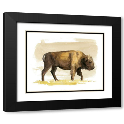 Bison Watercolor Sketch I Black Modern Wood Framed Art Print with Double Matting by Popp, Grace
