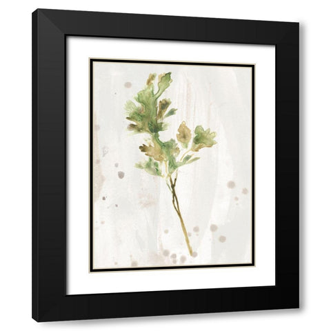 Antique Earthtone Herbs I Black Modern Wood Framed Art Print with Double Matting by Vess, June Erica