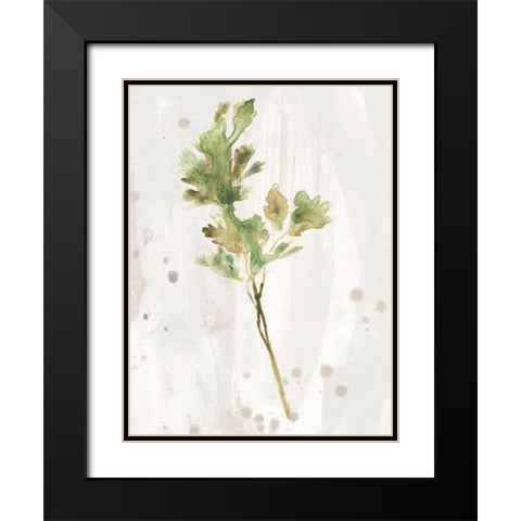 Antique Earthtone Herbs I Black Modern Wood Framed Art Print with Double Matting by Vess, June Erica