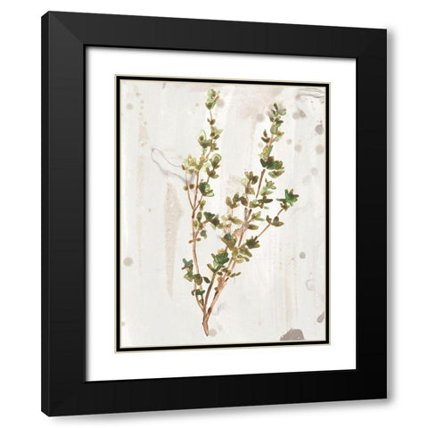 Antique Earthtone Herbs II Black Modern Wood Framed Art Print with Double Matting by Vess, June Erica