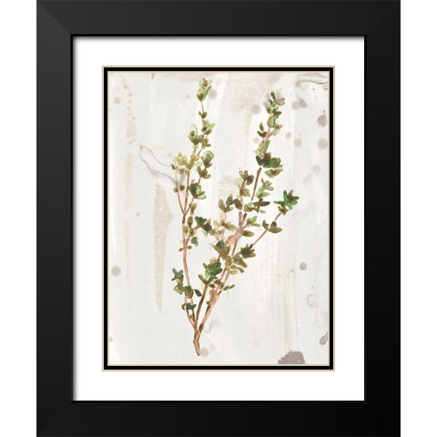 Antique Earthtone Herbs II Black Modern Wood Framed Art Print with Double Matting by Vess, June Erica