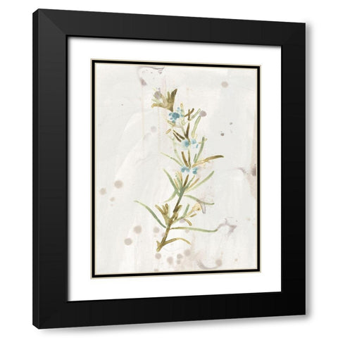Antique Earthtone Herbs III Black Modern Wood Framed Art Print with Double Matting by Vess, June Erica