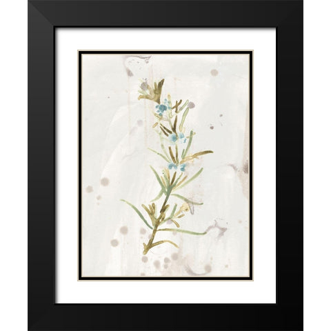 Antique Earthtone Herbs III Black Modern Wood Framed Art Print with Double Matting by Vess, June Erica