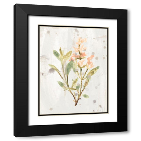 Antique Earthtone Herbs IV Black Modern Wood Framed Art Print with Double Matting by Vess, June Erica