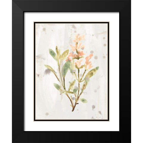 Antique Earthtone Herbs IV Black Modern Wood Framed Art Print with Double Matting by Vess, June Erica