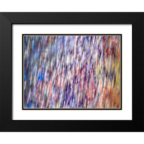 Bohemian Spirits II Black Modern Wood Framed Art Print with Double Matting by Bane, Eva