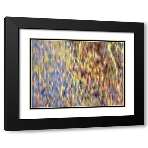 Bohemian Spirits IV Black Modern Wood Framed Art Print with Double Matting by Bane, Eva