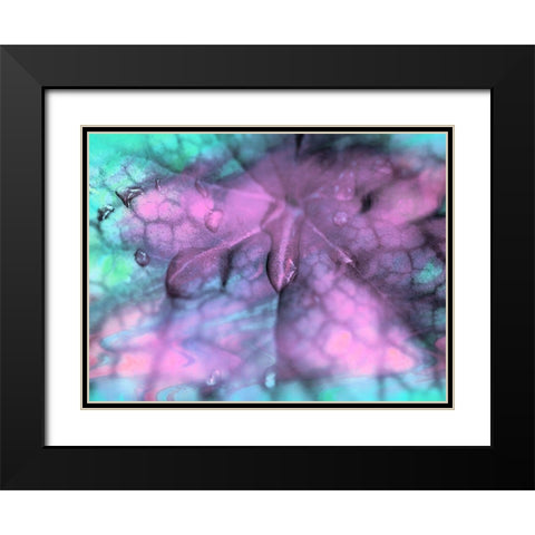 Celestial Dew Drops II Black Modern Wood Framed Art Print with Double Matting by Bane, Eva