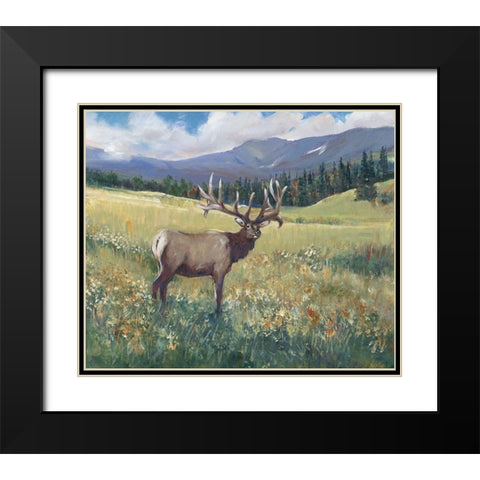 Rocky Mountain Elk I Black Modern Wood Framed Art Print with Double Matting by OToole, Tim