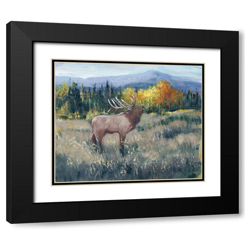Rocky Mountain Elk II Black Modern Wood Framed Art Print with Double Matting by OToole, Tim