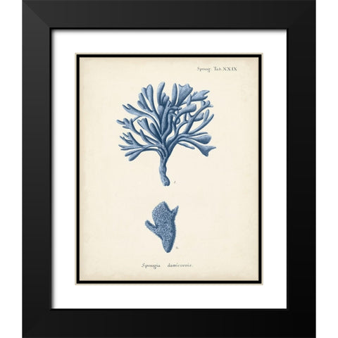 Antique Coral in Navy IV Black Modern Wood Framed Art Print with Double Matting by Esper, Johann