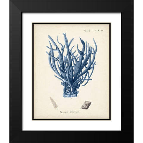 Antique Coral in Navy V Black Modern Wood Framed Art Print with Double Matting by Esper, Johann