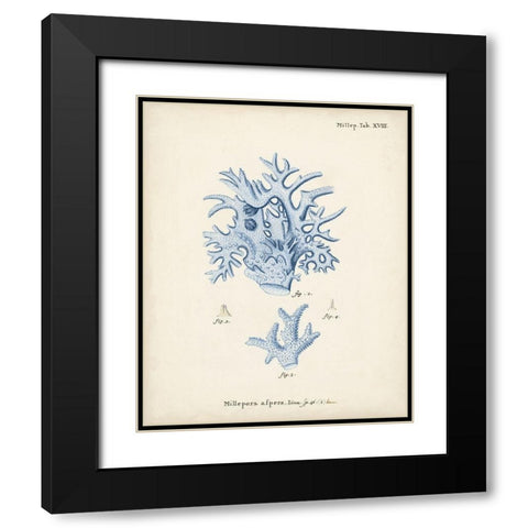 Antique Coral in Navy VI Black Modern Wood Framed Art Print with Double Matting by Esper, Johann