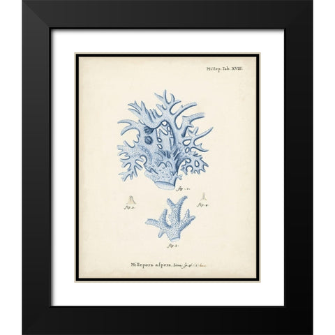 Antique Coral in Navy VI Black Modern Wood Framed Art Print with Double Matting by Esper, Johann