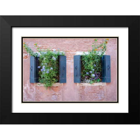Italian Window Flowers II Black Modern Wood Framed Art Print with Double Matting by DeNardo, Laura
