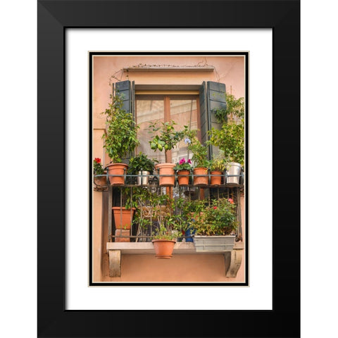 Italian Window Flowers III Black Modern Wood Framed Art Print with Double Matting by DeNardo, Laura