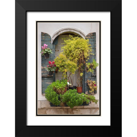 Italian Window Flowers IV Black Modern Wood Framed Art Print with Double Matting by DeNardo, Laura