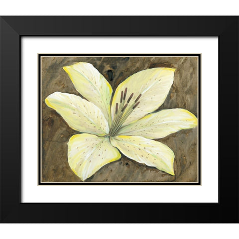 Neutral Lily I Black Modern Wood Framed Art Print with Double Matting by OToole, Tim