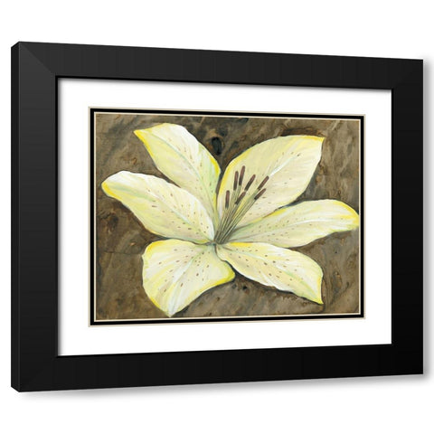 Neutral Lily II Black Modern Wood Framed Art Print with Double Matting by OToole, Tim