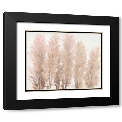 Pampas Grass I Black Modern Wood Framed Art Print with Double Matting by OToole, Tim