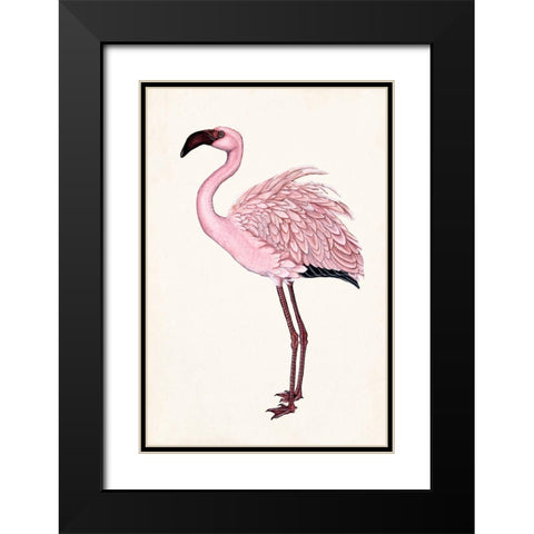 Striking Flamingo II Black Modern Wood Framed Art Print with Double Matting by McCavitt, Naomi