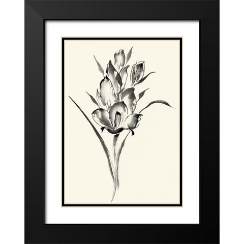 Ink Wash Floral II - Gladiolus Black Modern Wood Framed Art Print with Double Matting by Rae, Nan