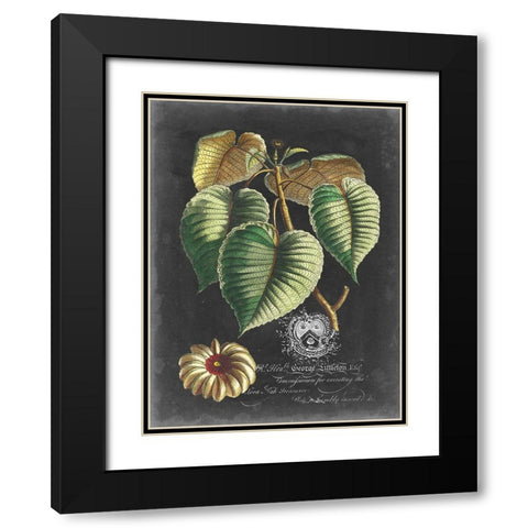 Royal Foliage I Black Modern Wood Framed Art Print with Double Matting by Vision Studio