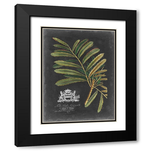 Royal Foliage II Black Modern Wood Framed Art Print with Double Matting by Vision Studio