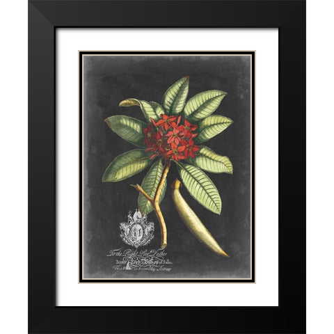 Royal Foliage III Black Modern Wood Framed Art Print with Double Matting by Vision Studio