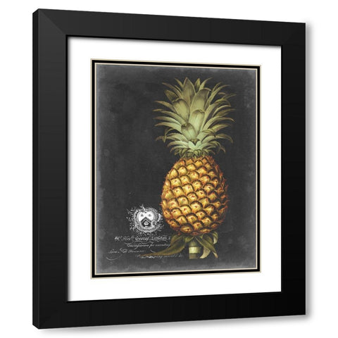 Royal Brookshaw Pineapple I Black Modern Wood Framed Art Print with Double Matting by Brookshaw, George