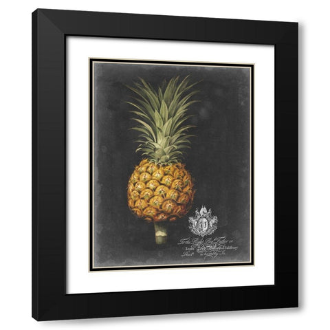 Royal Brookshaw Pineapple II Black Modern Wood Framed Art Print with Double Matting by Brookshaw, George