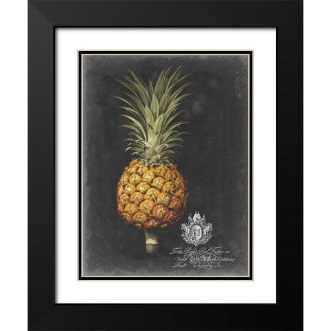 Royal Brookshaw Pineapple II Black Modern Wood Framed Art Print with Double Matting by Brookshaw, George
