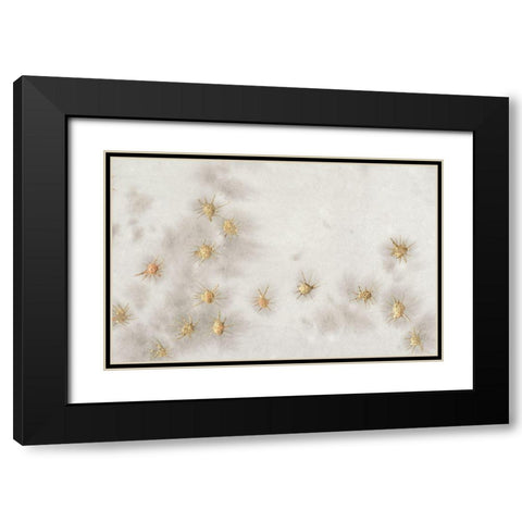 Spangled Grey I Black Modern Wood Framed Art Print with Double Matting by Binder, Vanessa