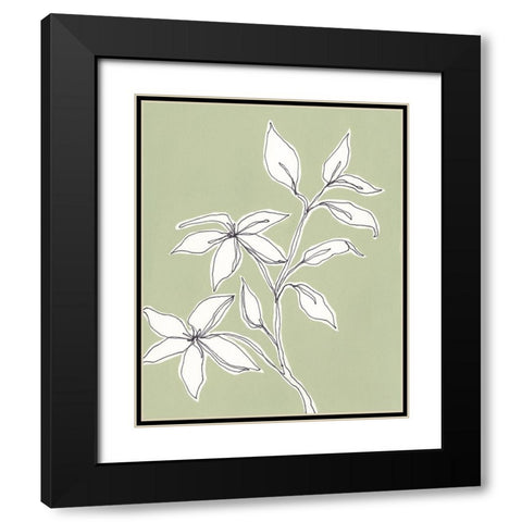 Botanic Drawing I Black Modern Wood Framed Art Print with Double Matting by Moore, Regina