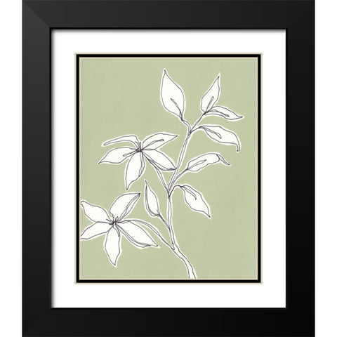 Botanic Drawing I Black Modern Wood Framed Art Print with Double Matting by Moore, Regina