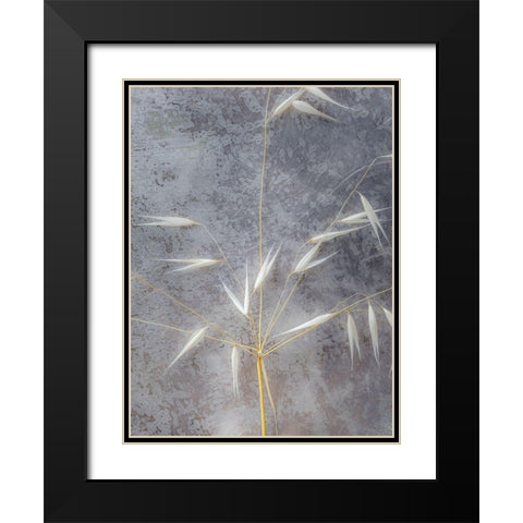 Moonlit Dream I Black Modern Wood Framed Art Print with Double Matting by Bane, Eva