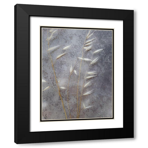 Moonlit Dream II Black Modern Wood Framed Art Print with Double Matting by Bane, Eva