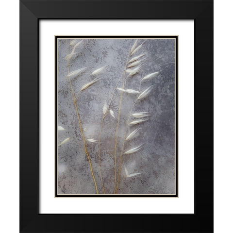 Moonlit Dream II Black Modern Wood Framed Art Print with Double Matting by Bane, Eva