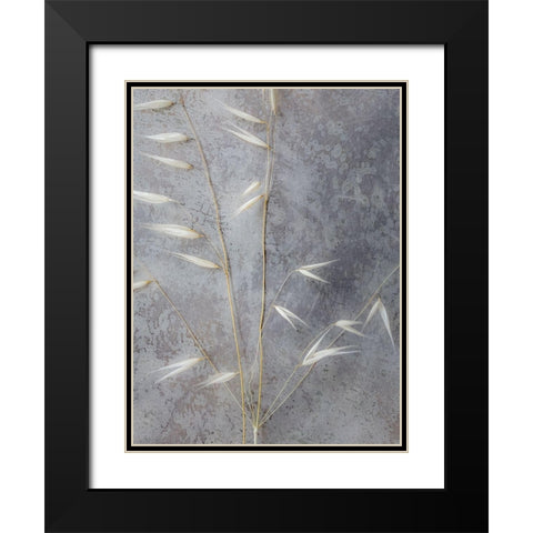 Moonlit Dream III Black Modern Wood Framed Art Print with Double Matting by Bane, Eva