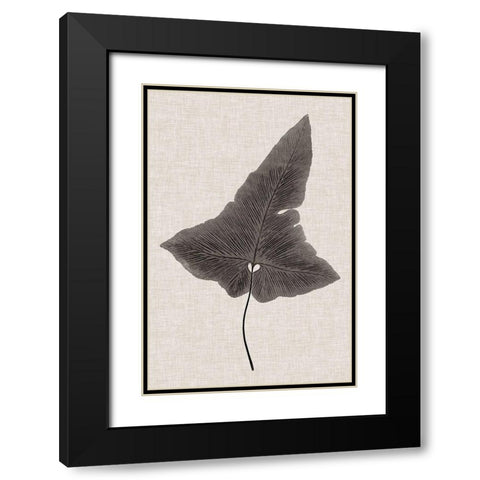 Custom Fern Family I (LG) Black Modern Wood Framed Art Print with Double Matting by Lowe