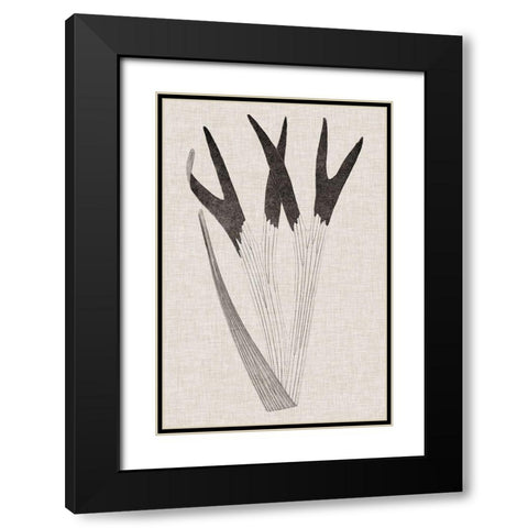 Custom Fern Family II (LG) Black Modern Wood Framed Art Print with Double Matting by Lowe
