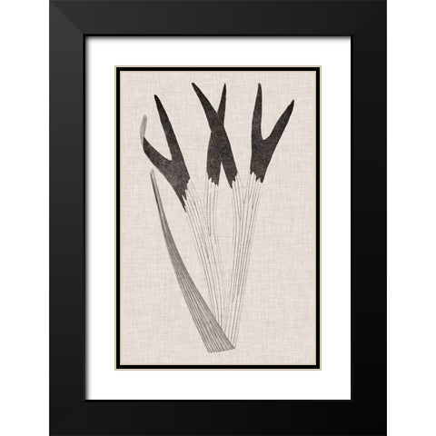 Custom Fern Family II (LG) Black Modern Wood Framed Art Print with Double Matting by Lowe