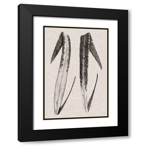 Custom Fern Family IV (LG) Black Modern Wood Framed Art Print with Double Matting by Lowe